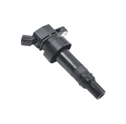 Ignition Coil D102101020001 TORCH OE JM5378