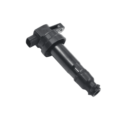 Ignition Coil D102102610001 TORCH OE N5360513